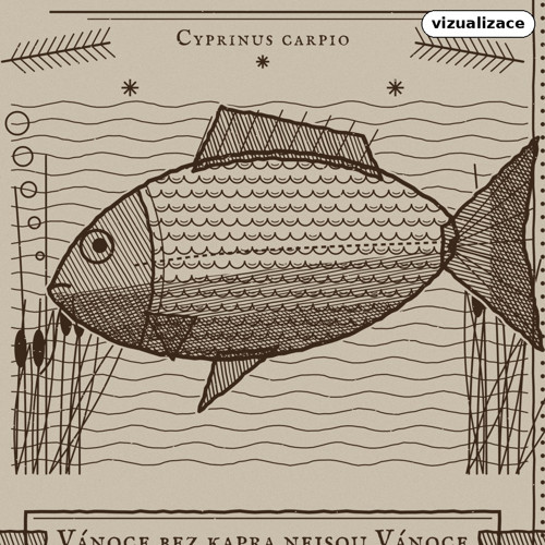 Pánské tričko „Kapr paráda“ (dřevoryt) — foto 3