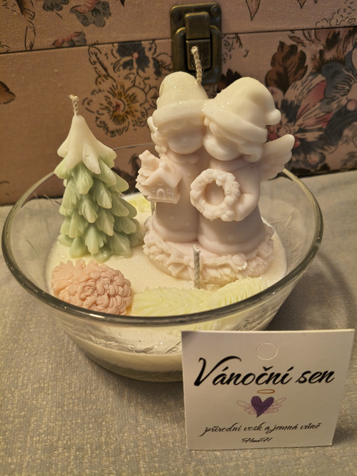 Vánoční sen 1 — foto 2