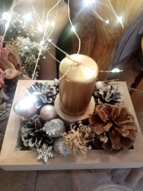 Svícen vánoční — foto 5