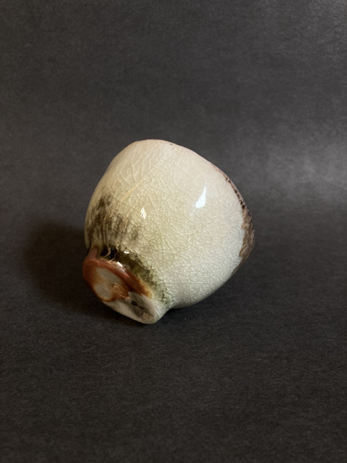 Kokemushita — foto 4