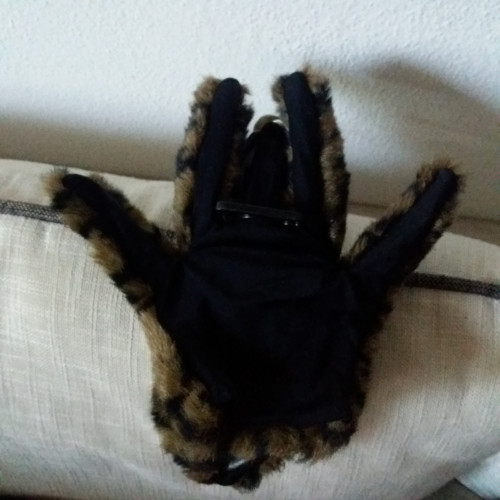 Trancula - pavouk na ruku — foto 4