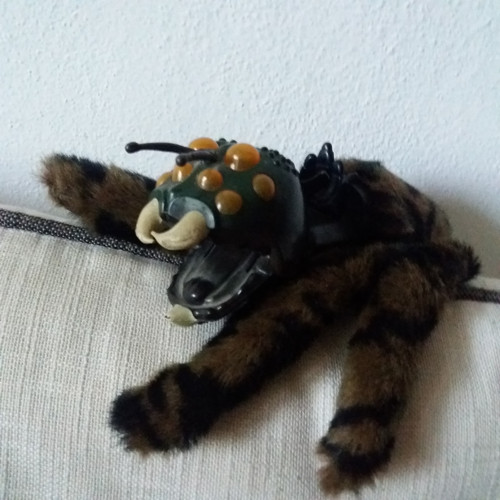 Trancula - pavouk na ruku — foto 2