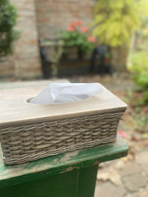 Kapesníkovník přírodní - skladem — foto 3