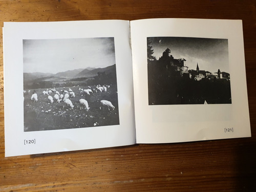 Fotografuje ... — foto 4