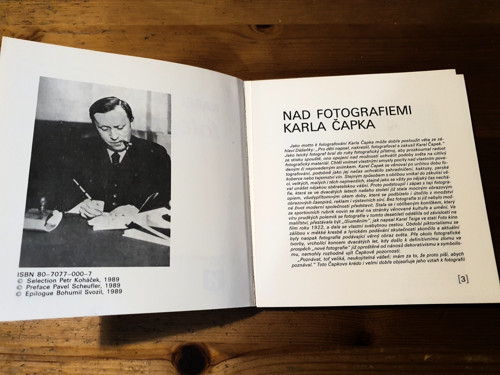 Fotografuje ... — foto 2