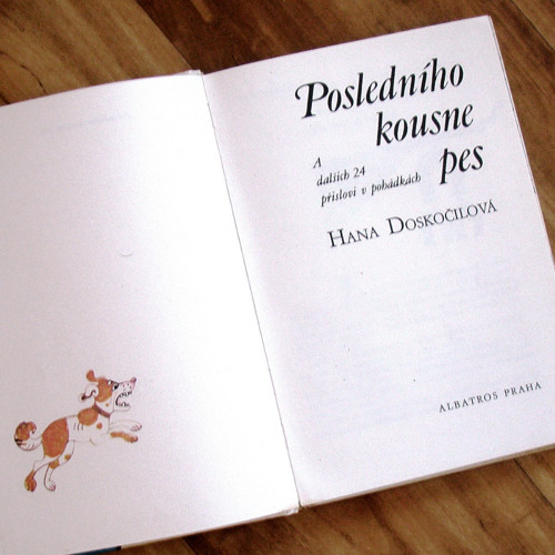 Posledního kousne pes — foto 2