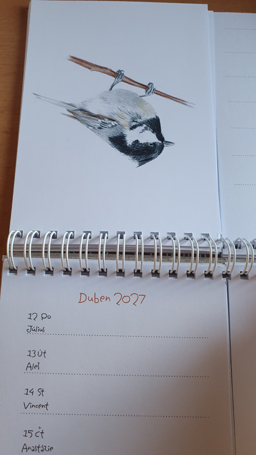 Kalenář stolový — foto 3