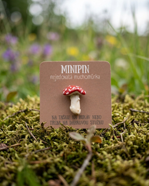 Nejedovatá muchomůrka | minipin houba — foto 3