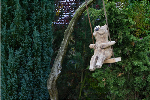 Kocour na houpačce — foto 3