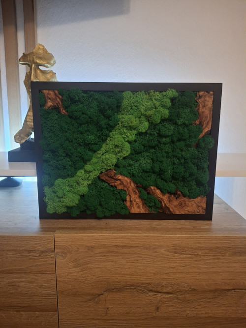Mechový obraz — foto 6