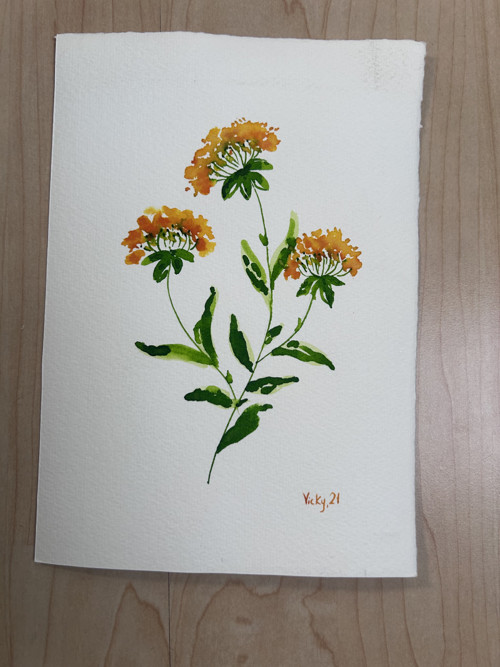 Žlutá květina — foto 2