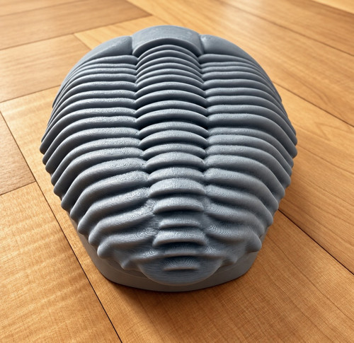 TRILOBIT – designová šperkovnice — foto 2