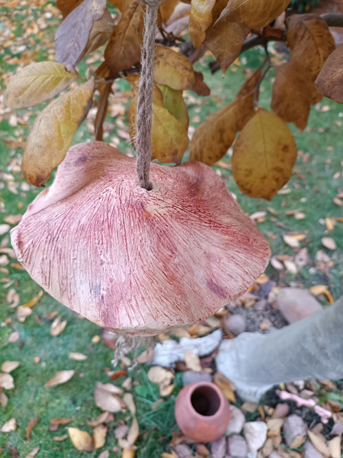 Krmitko — foto 3