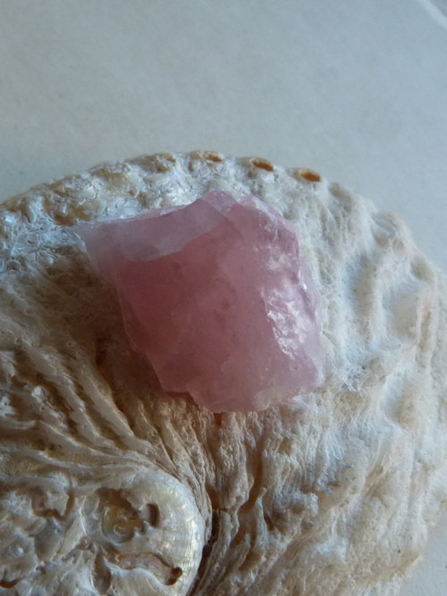 Růženín surový - 3,8 cm — foto 3