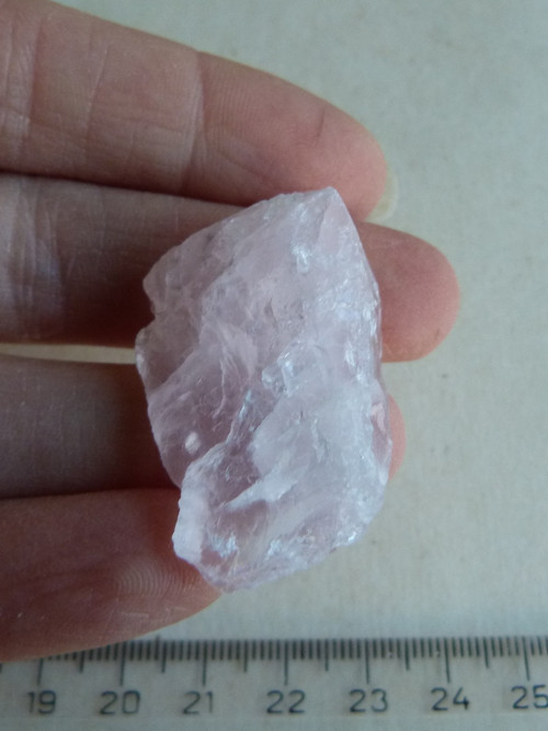 Růženín surový - 4 cm — foto 3