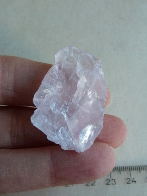 Růženín surový - 4 cm — foto 4