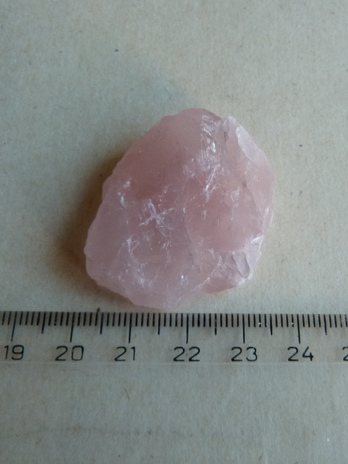 Růženín surový - 4 cm — foto 4