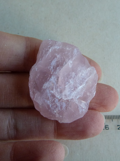Růženín surový - 4 cm — foto 2