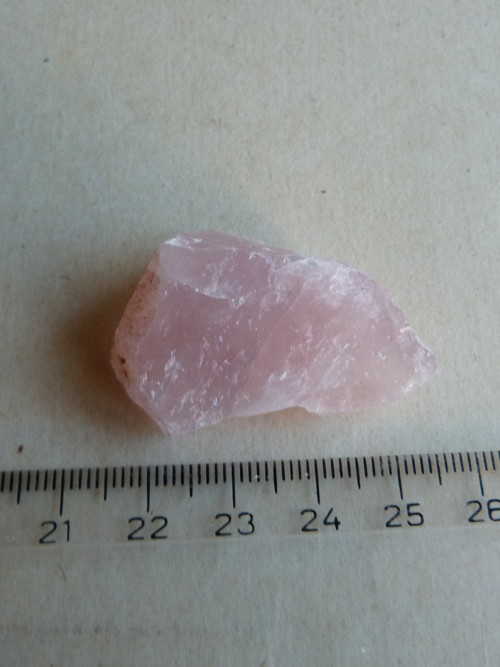 Růženín surový - 4 cm — foto 4