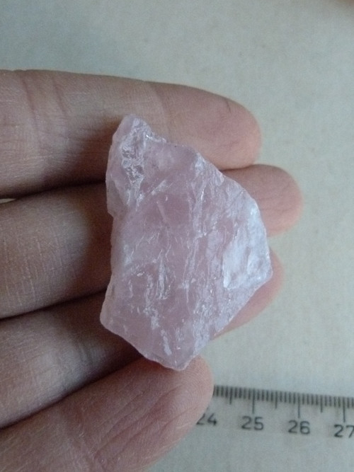 Růženín surový - 4 cm — foto 2