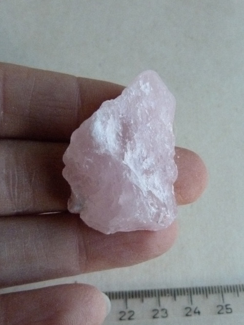 Růženín surový - 4 cm — foto 3