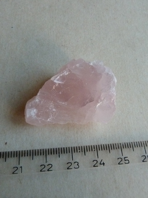Růženín surový - 4 cm — foto 5