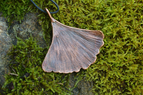 ~ Dech jinanu ~ — foto 2