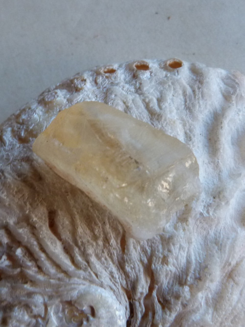 Citrín surový - 3,8 cm — foto 4
