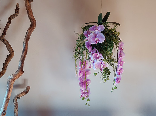kokedama s orchidejemi