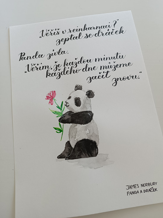 Panda