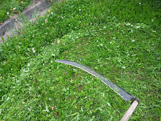 kosení
