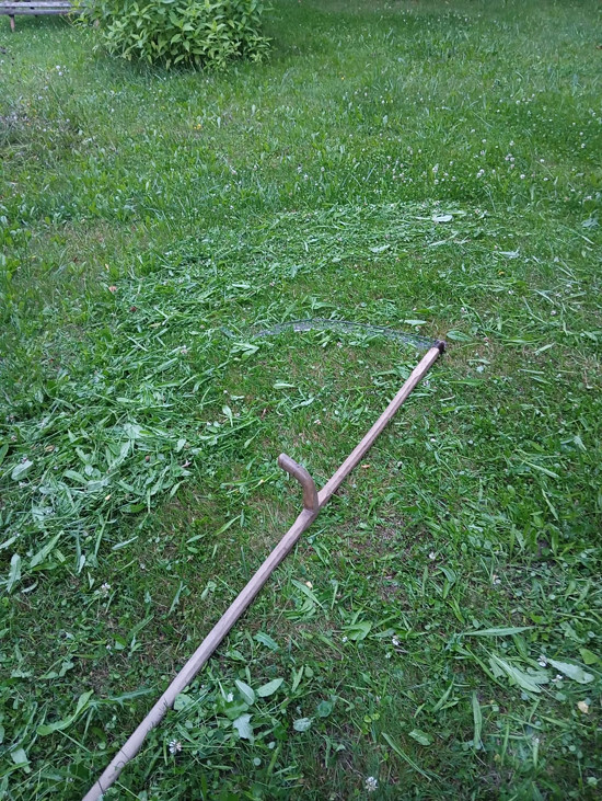 kosa v trávě