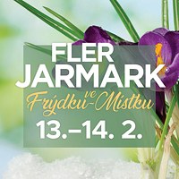 Flerjarmark Frýda Frýdek-Místek