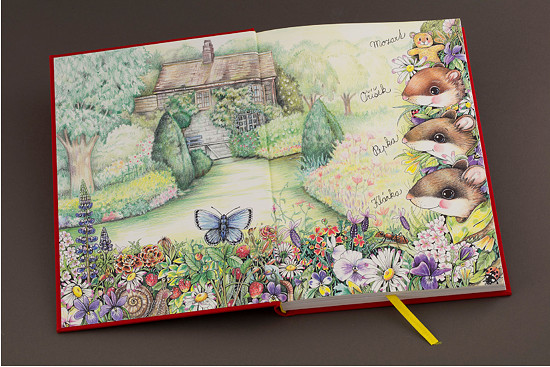 Přední předsádka knihy „Příběhy ze staré zahrady “