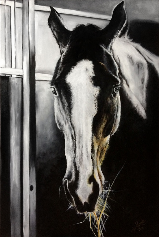 Kůň (80×120cm) Obraz na zakázku - Prodáno