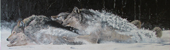 Vlci ve sněhu - olej na plátně