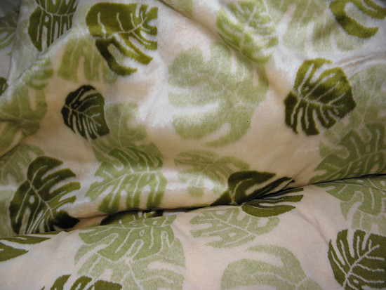 list monstera