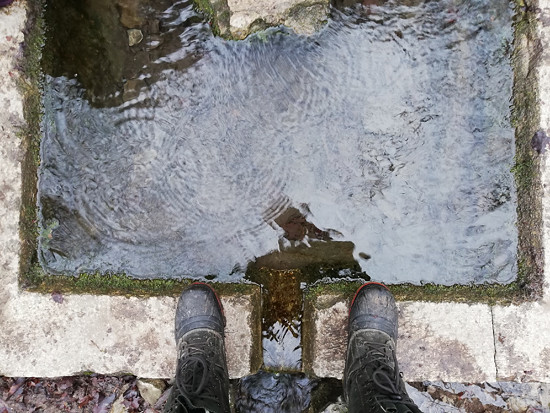 studánko, kam voda z tebe pospíchá?