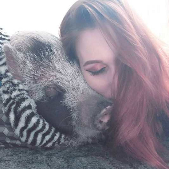 azyl štětinka, veronika vašková