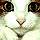 Agnes_K