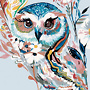 Daisy_2010_