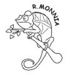 R.Monnia