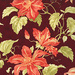 Clematis
