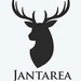 jantarea