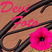 Devi Foto