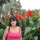 Alfita