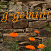 g-gemini