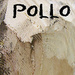 Pollo