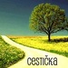 Cestička