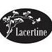 Lacertine